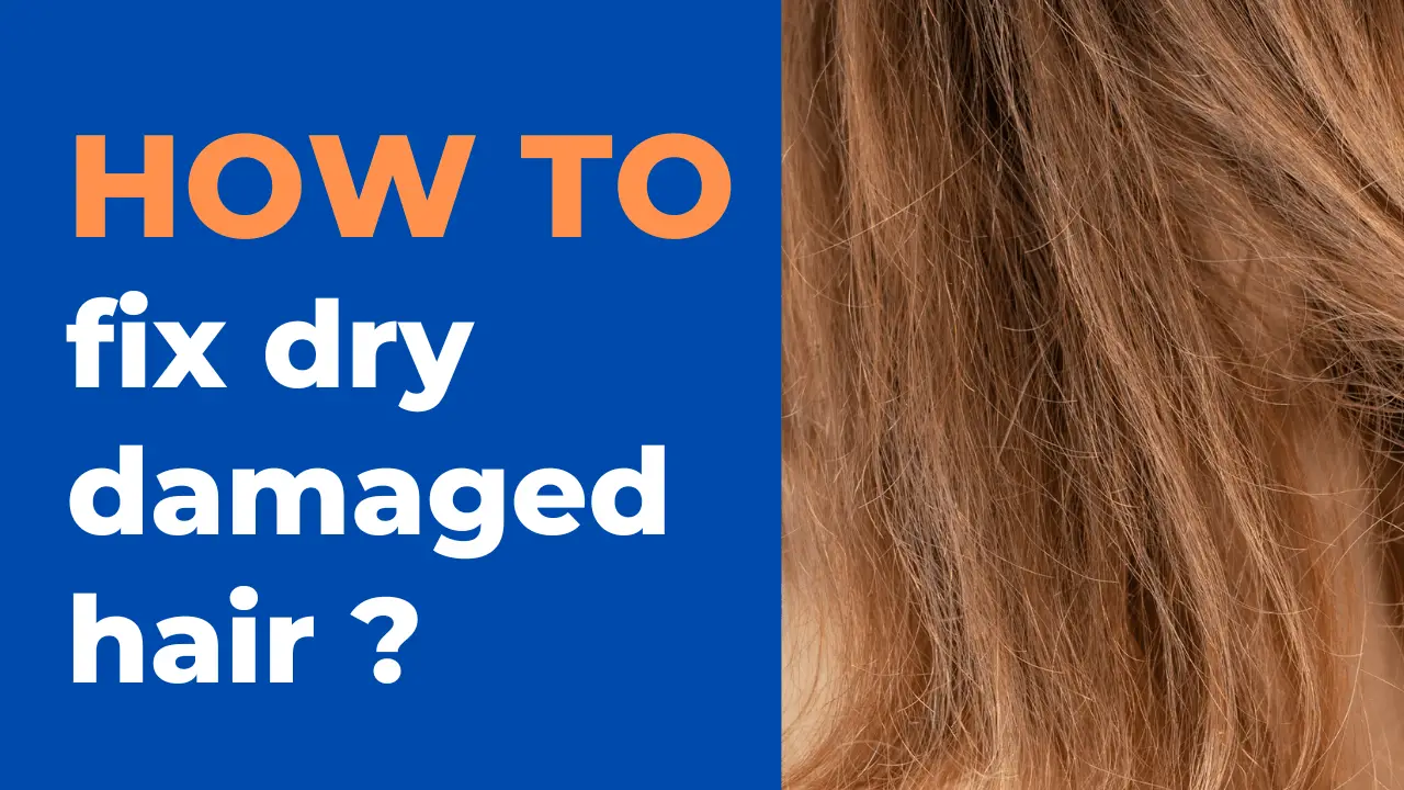 fix dry damaged hair