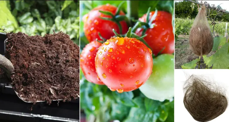 Help People Grow Food