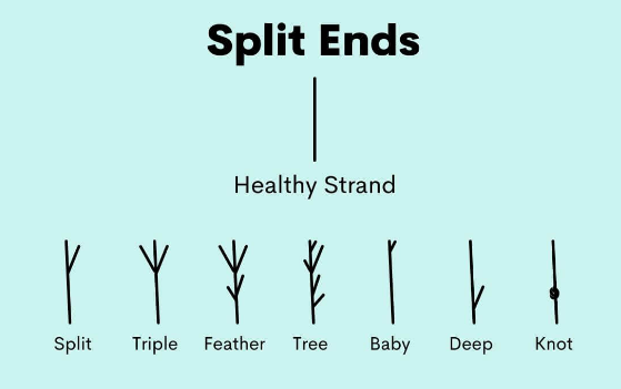 What Causes & How To Prevent Split Ends