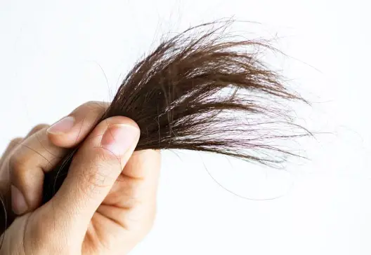 How to Know if Your Hair is Damaged